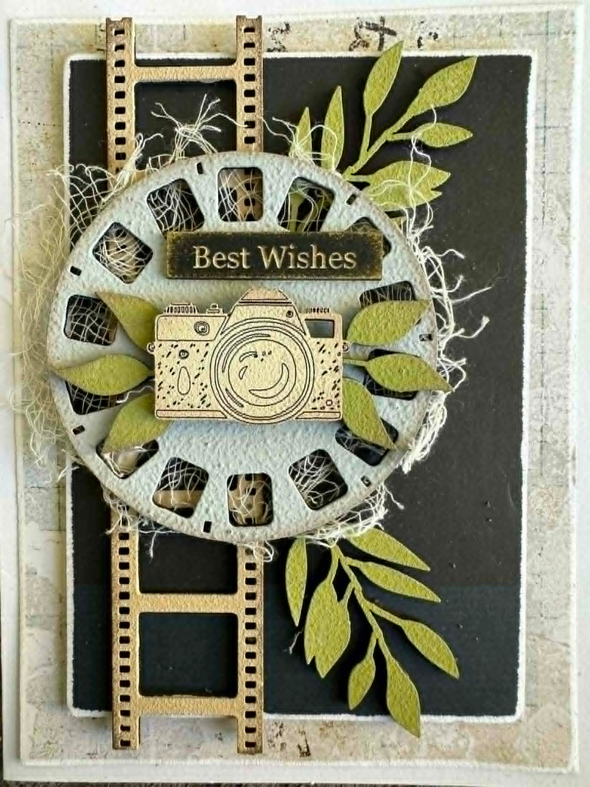 Designer Card Kit #16 - Snapshot B