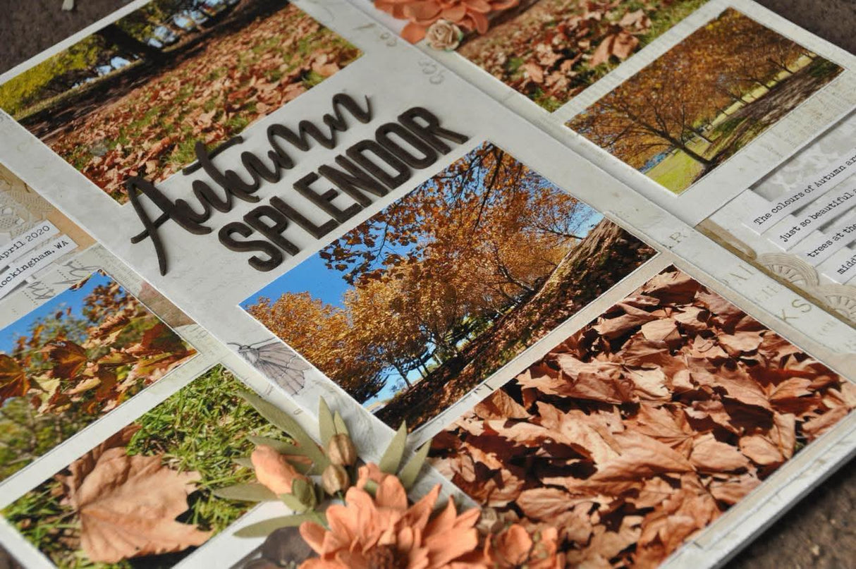 Autumn Splendor image 2