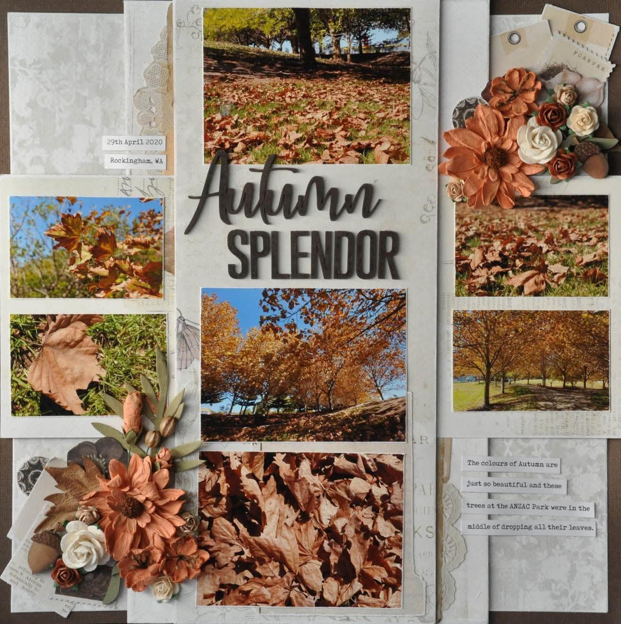 Autumn Splendor image 1