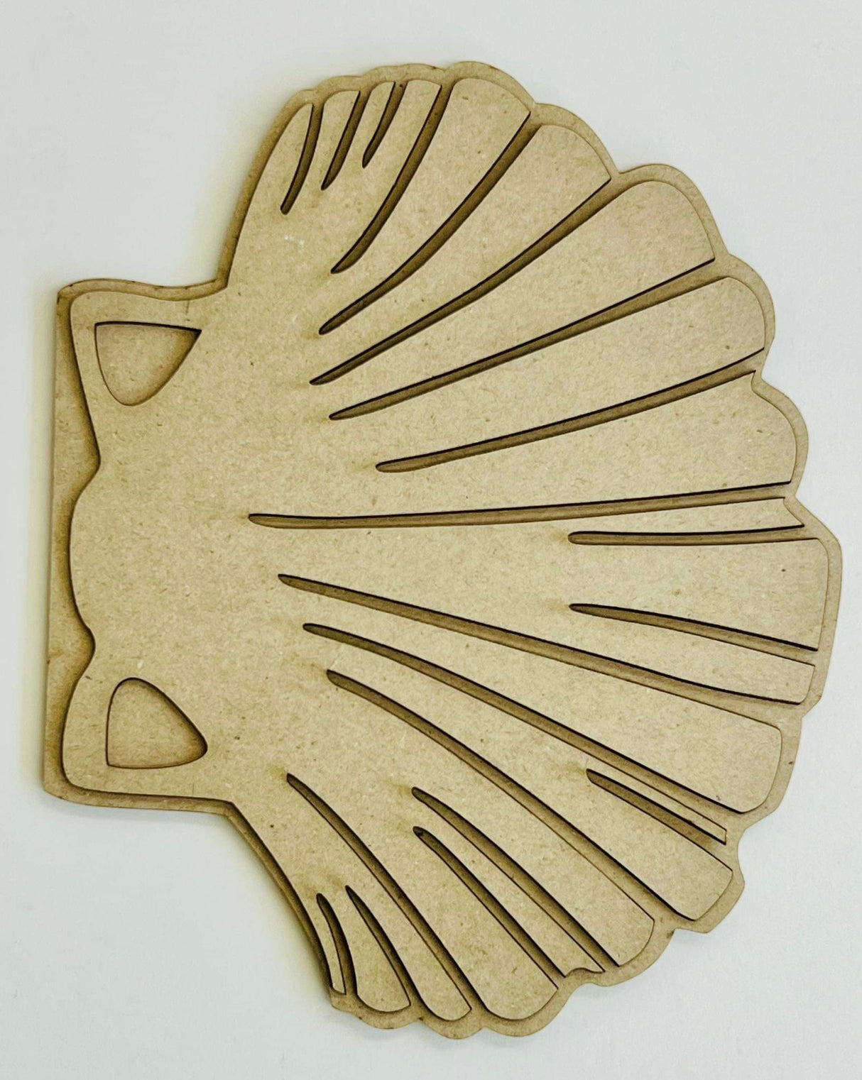 Mini Album Cover Set #16 - Fan Seashell image 0