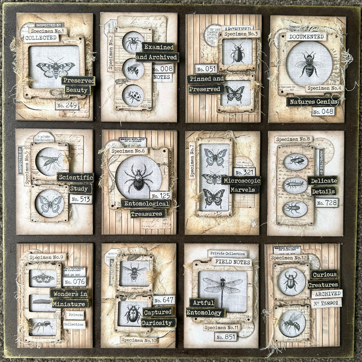 Designer Kit #269 - ATC Board Entomology