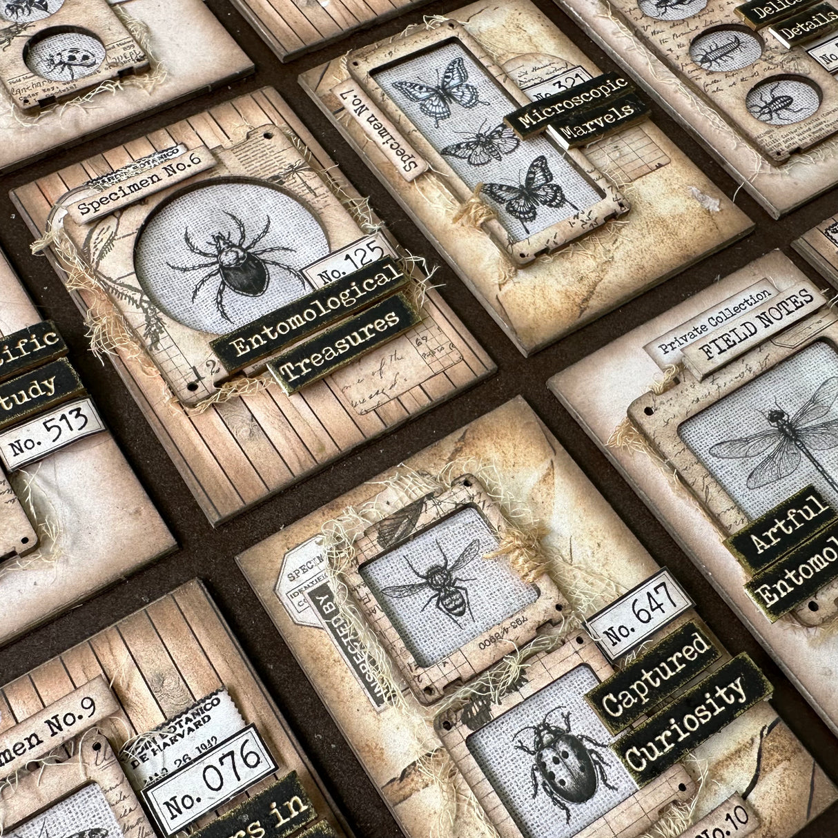 Designer Kit #269 - ATC Board Entomology