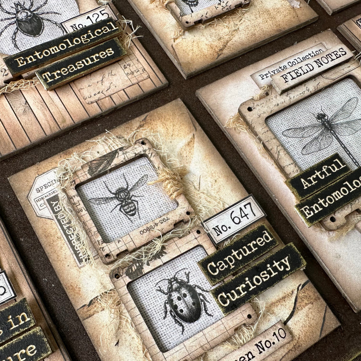Designer Kit #269 - ATC Board Entomology