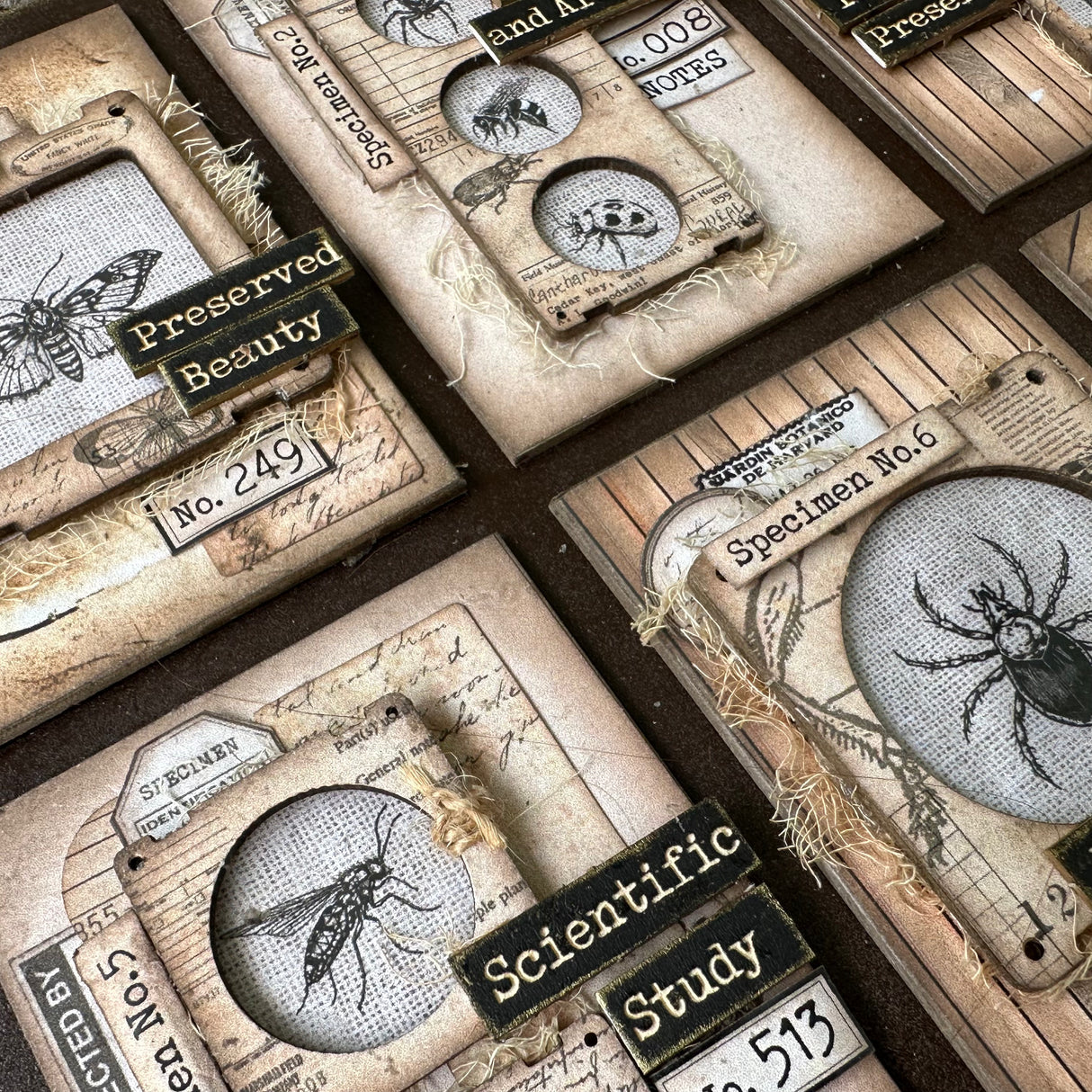 Designer Kit #269 - ATC Board Entomology