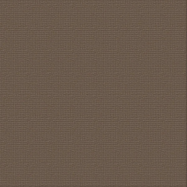 Cardstock - Chocolate