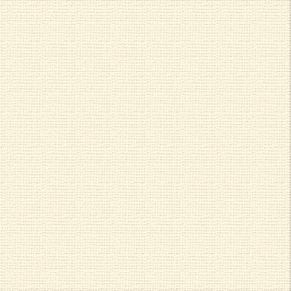 Cardstock - Ivory 10pk