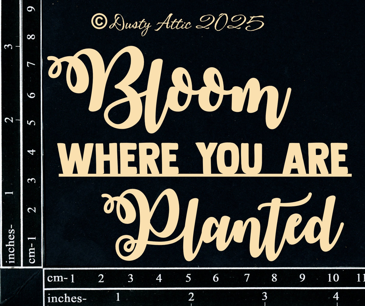 Bloom Where You Are Planted image 0