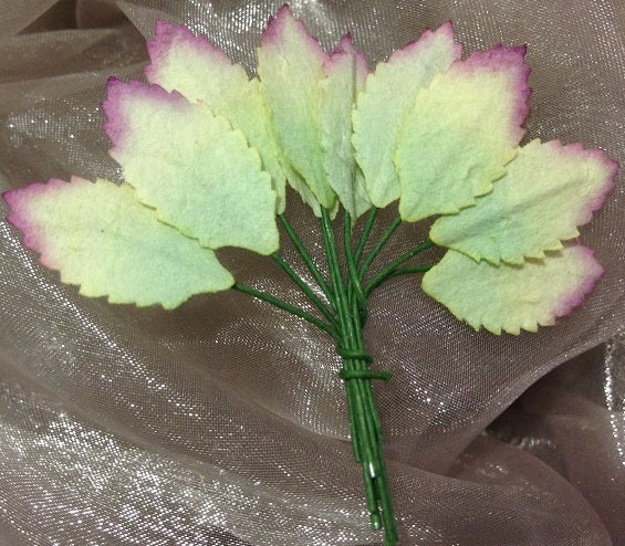 Dusty Rose Leaves small yellow image 0