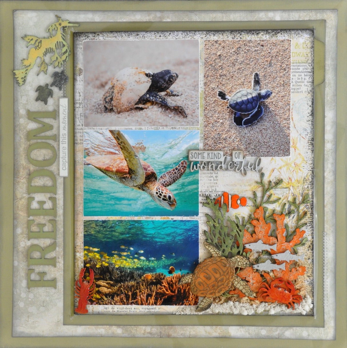 Mini Crabs and Lobsters image 1