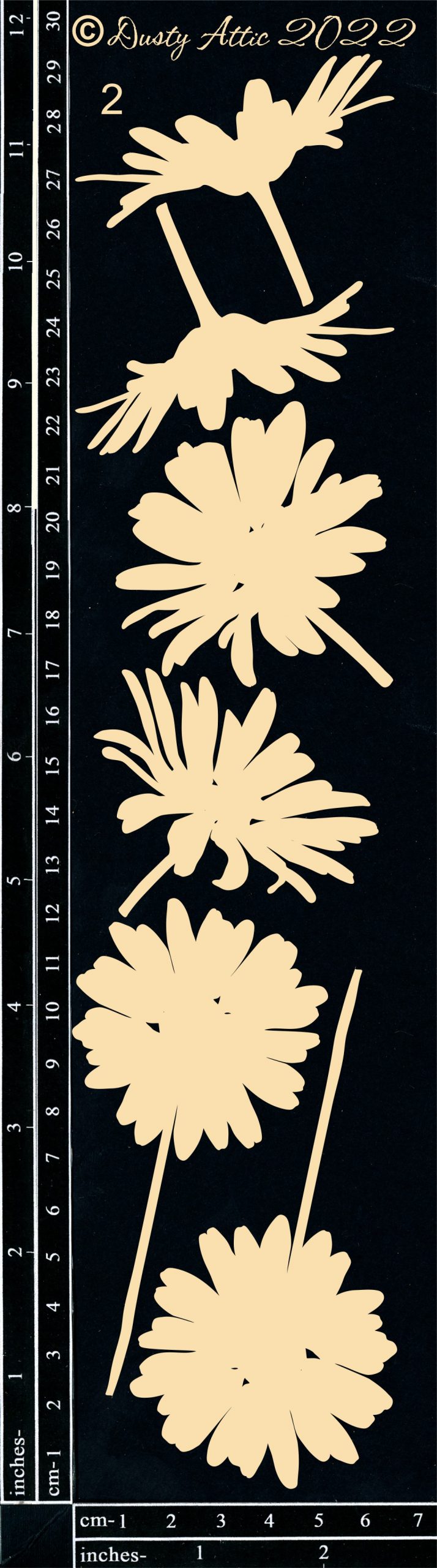 Daisies #2 image 0