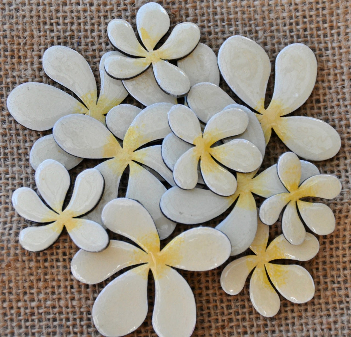 Frangipanis image 1