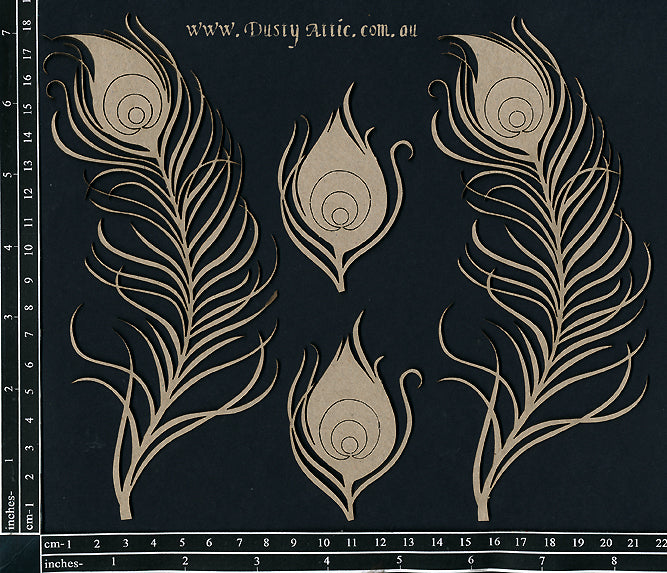 Peacock Feather image 0