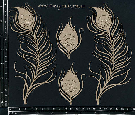 Peacock Feather image 0