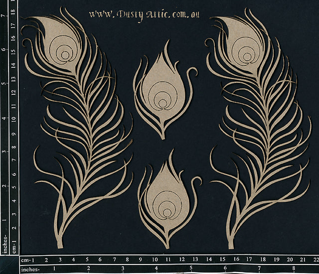 Peacock Feather image 0