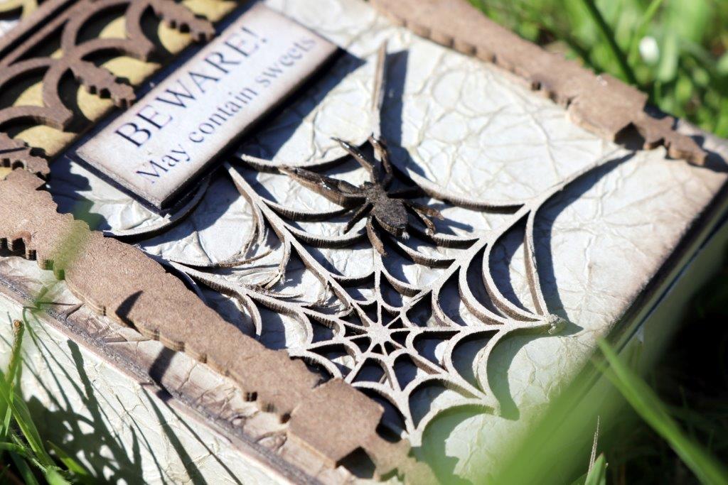 Spider Web #2 image 1