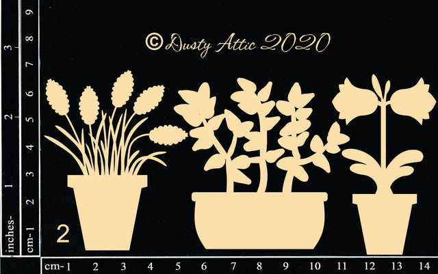 Potplants #2 image 0