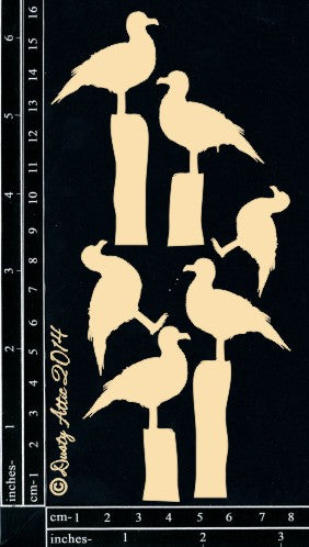 Seagulls  image 0