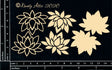 Lotus Small image 0