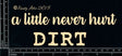 A Little Dirt Never Hurt image 0