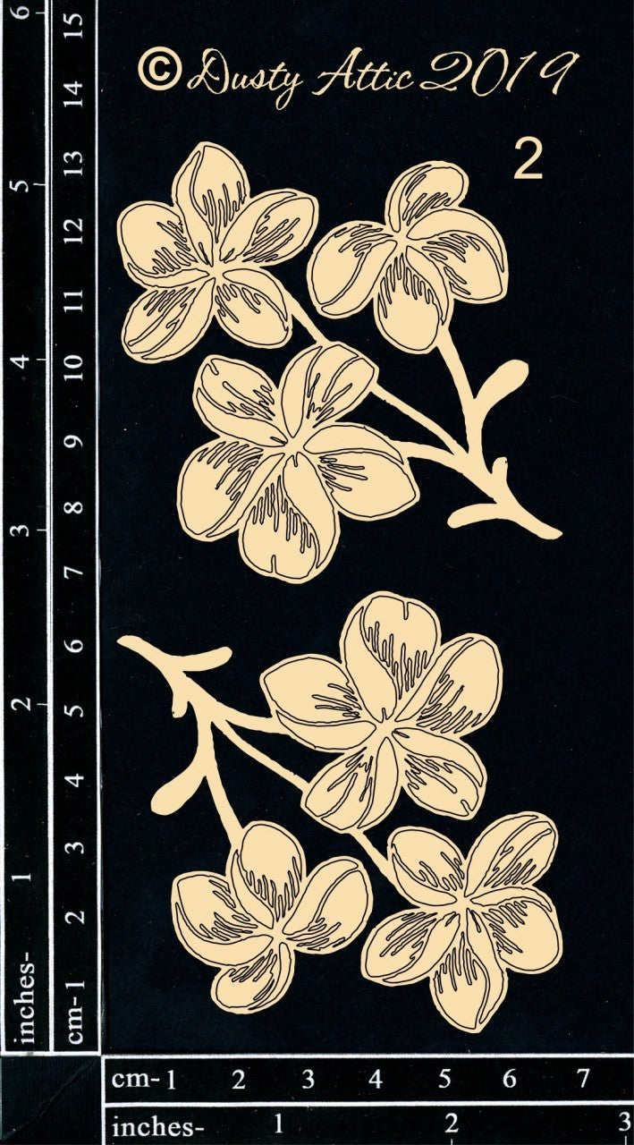 Frangipani #2 image 0