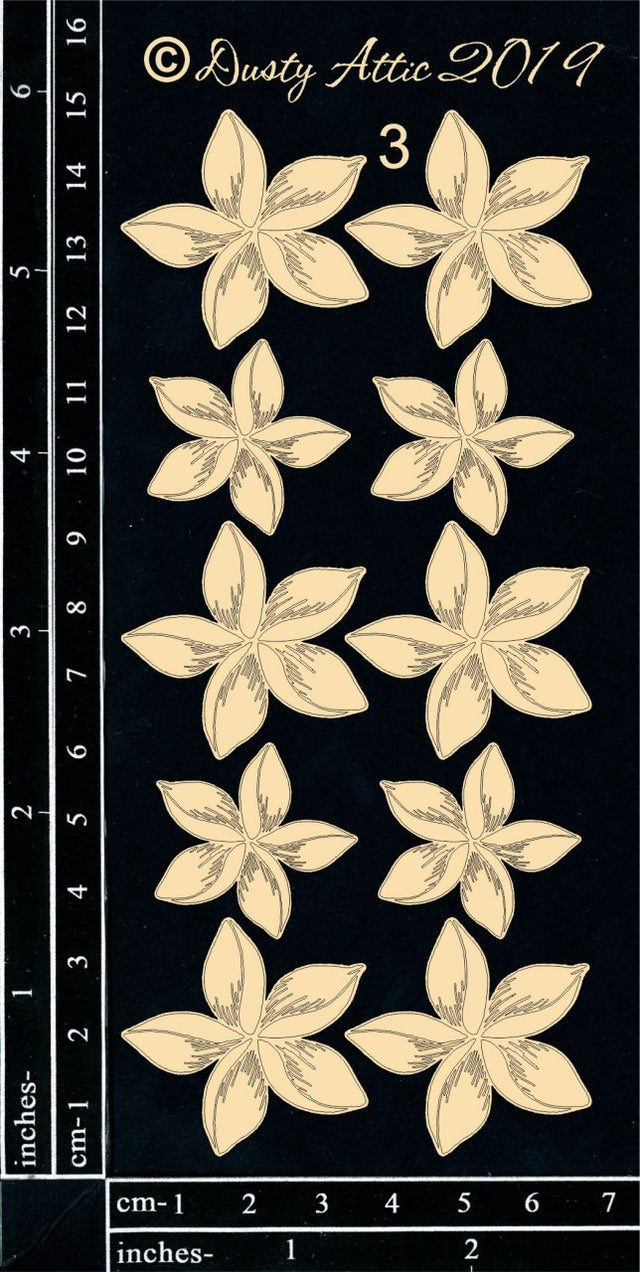 Frangipani #3 image 0