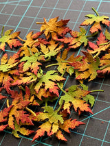 Mini Autumn Leaves #3 image 2