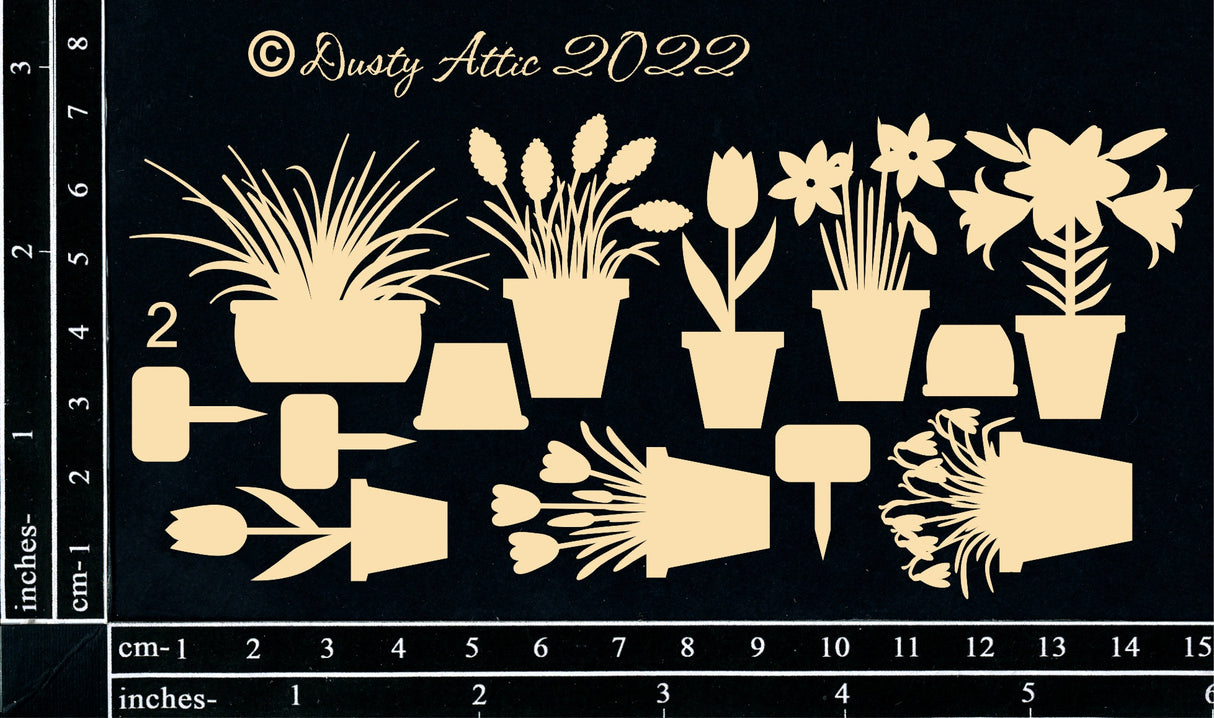 Mini Pot Plants #2 image 0