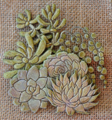Succulents Mixed image 1