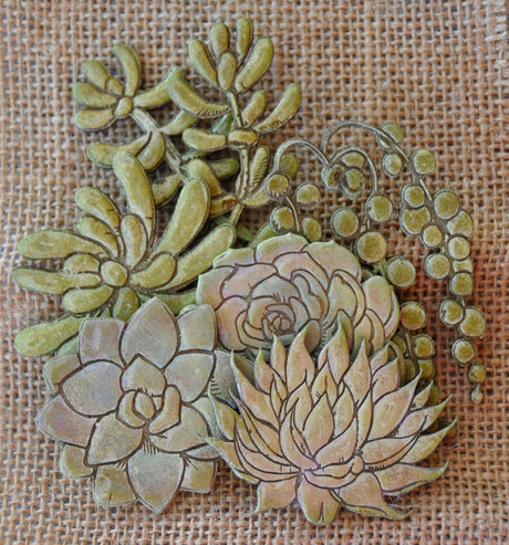Succulents Mixed image 1