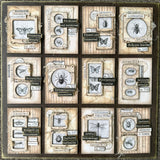 Designer Kit #269 - ATC Board Entomology