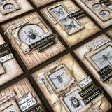 Designer Kit #269 - ATC Board Entomology