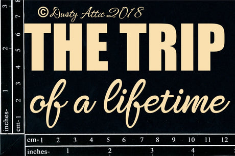 The Trip Of A Lifetime image 0