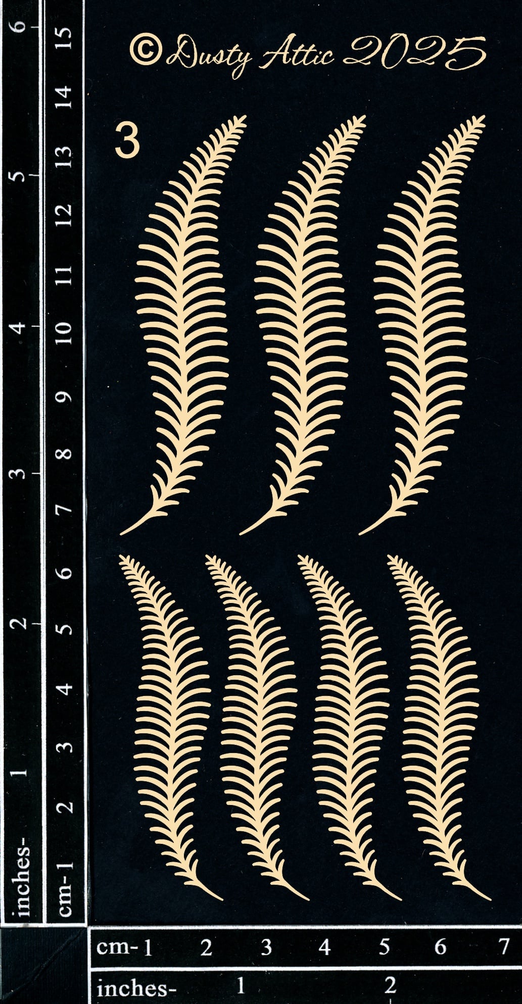 Forest Ferns #3