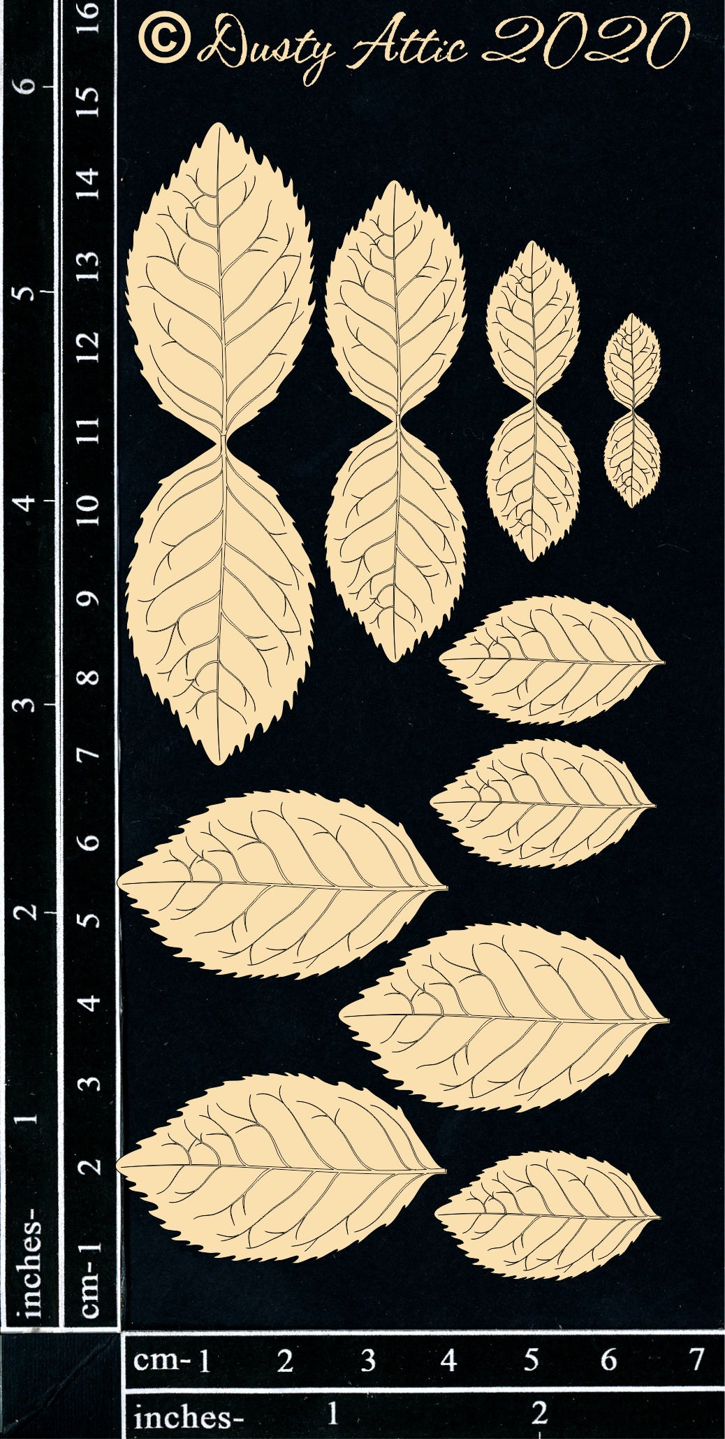 Mint Leaves image 0