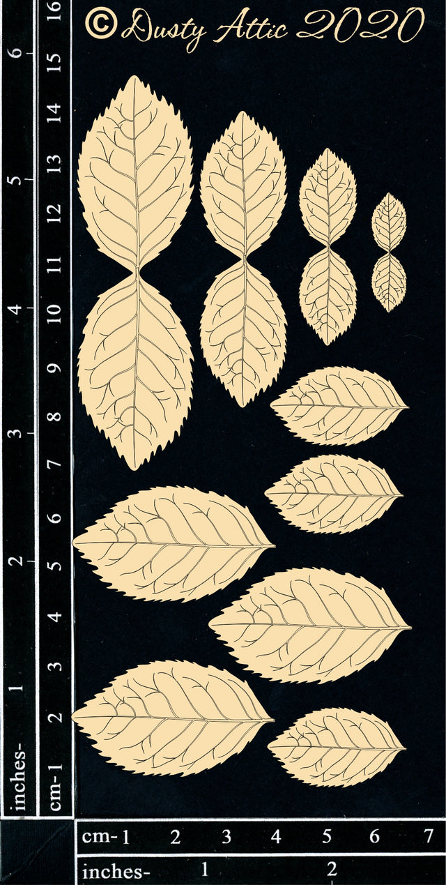 Mint Leaves image 0