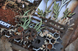 Nuts and Bolts image 1