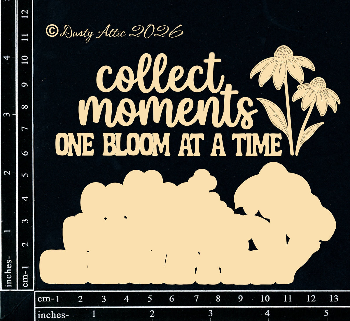 Collect Moments - One Bloom At A Time