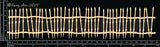 Crooked Fence image 0