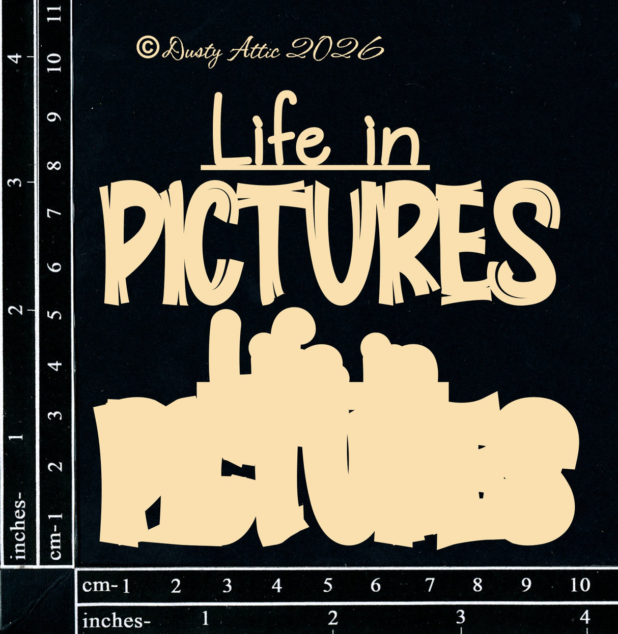 Life In Pictures