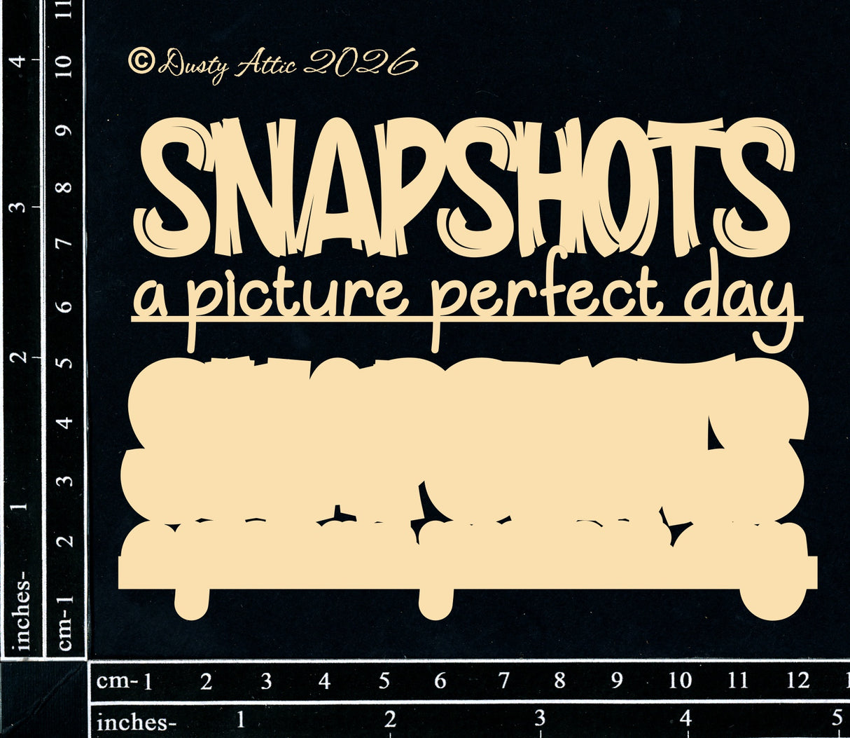 Snapshots - A Picture Perfect Day